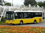 Marcopolo Gran Viale 2004 года